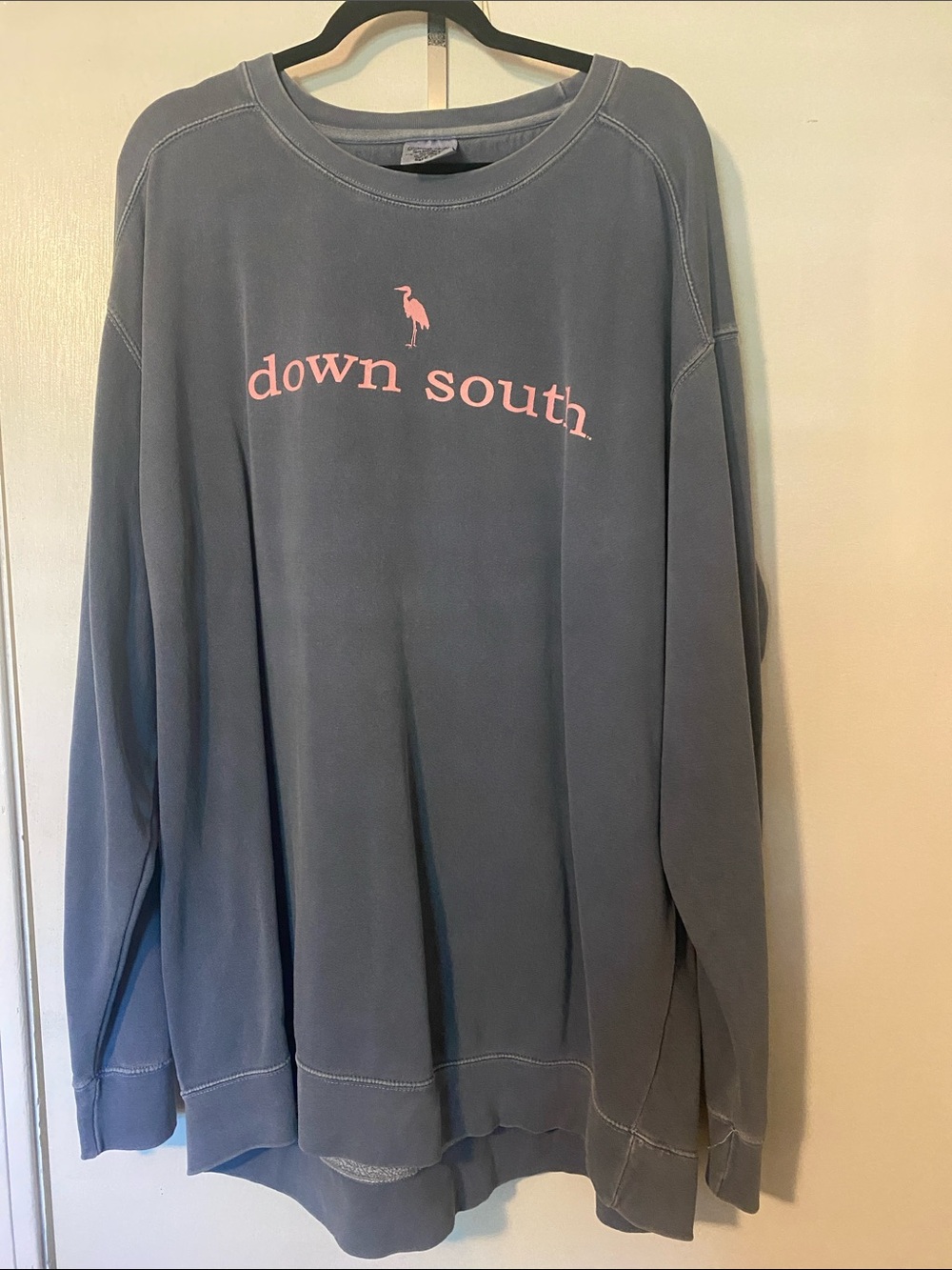 Comfort Colors Down South Boutique Crewneck with Pink Logo